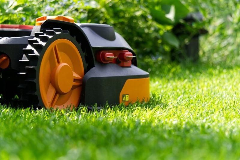 robot koszący trawę